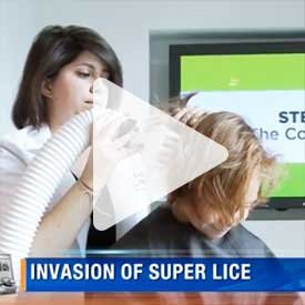 invasion of super lice news clip